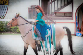 Renaissance Faire Joust 2